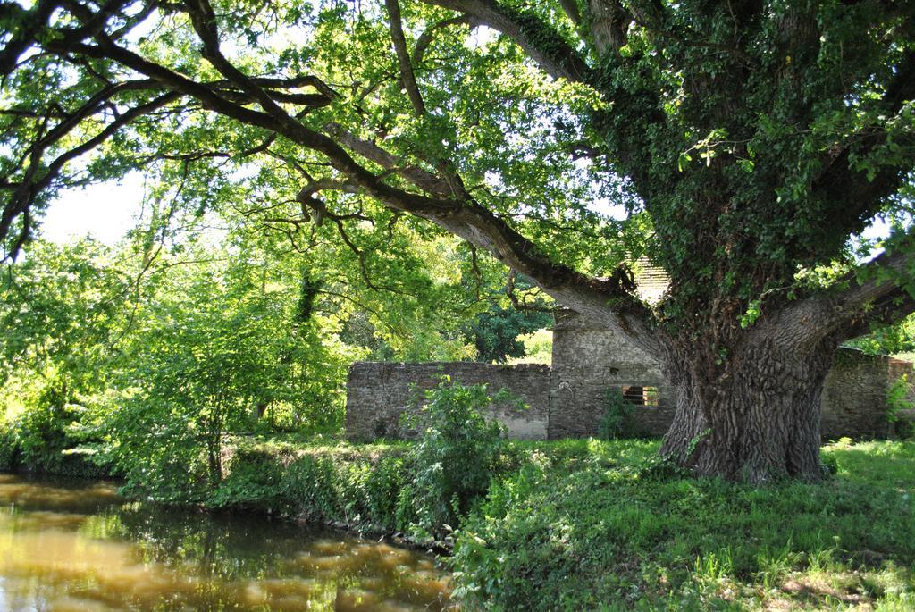 Le Manoir De La Vieille Douve Bed & Breakfast Bourg-d'Ire ภายนอก รูปภาพ